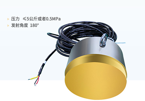 超聲波驅(qū)魚換能器